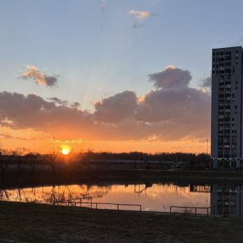 Сдается 1-комнатная квартира, 23 м²