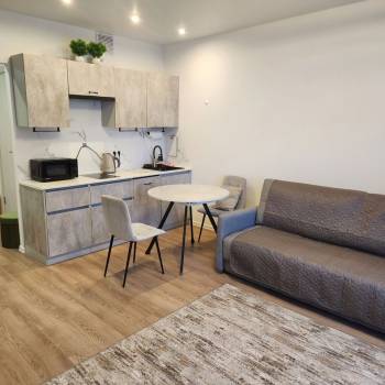 Сдается 1-комнатная квартира, 24 м²