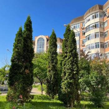 Сдается Многокомнатная квартира, 79,5 м²