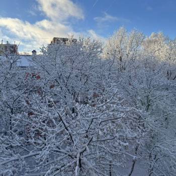 Продается 2-х комнатная квартира, 36,4 м²