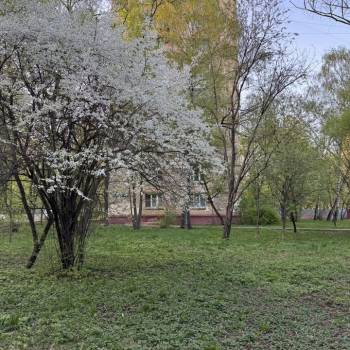 Продается 2-х комнатная квартира, 36,4 м²