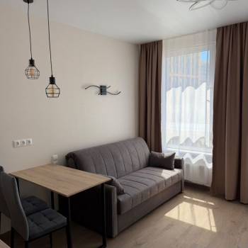 Сдается 1-комнатная квартира, 22,8 м²