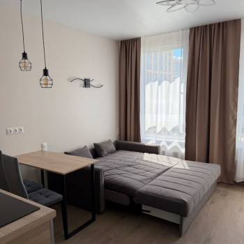 Сдается 1-комнатная квартира, 22,8 м²