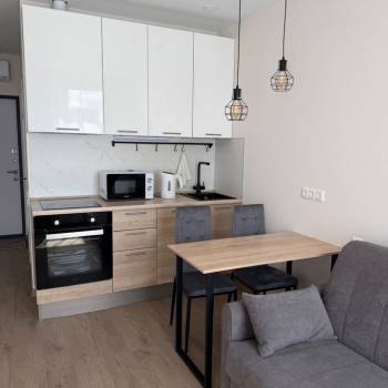 Сдается 1-комнатная квартира, 22,8 м²
