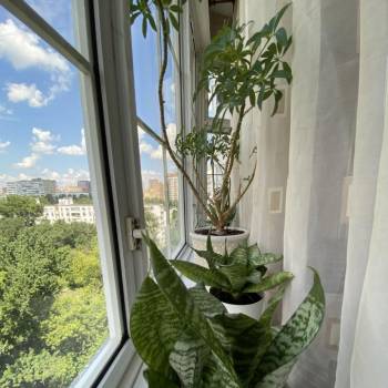 Сдается 2-х комнатная квартира, 60,4 м²