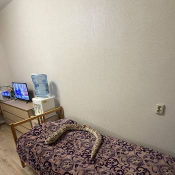 Сдается Комната, 17 м²