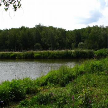 Продается Участок, 120000 м²