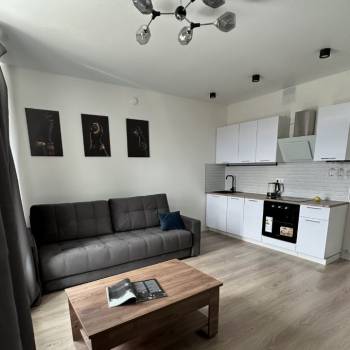 Сдается 1-комнатная квартира, 26,6 м²