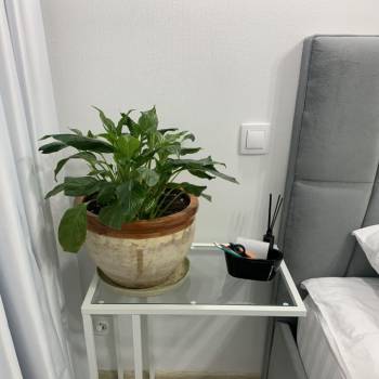 Сдается Комната, 15 м²