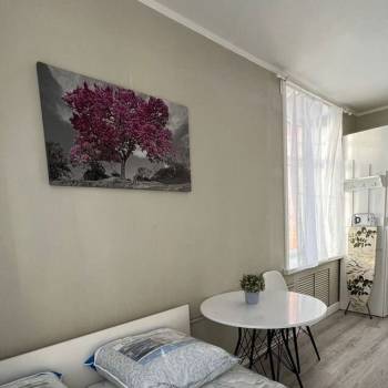 Сдается 1-комнатная квартира, 19 м²