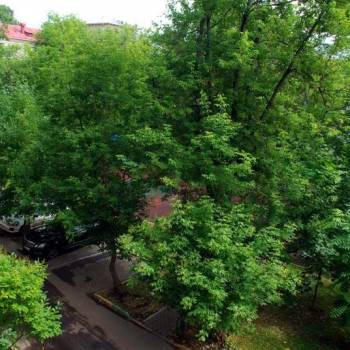Сдается 1-комнатная квартира, 35 м²