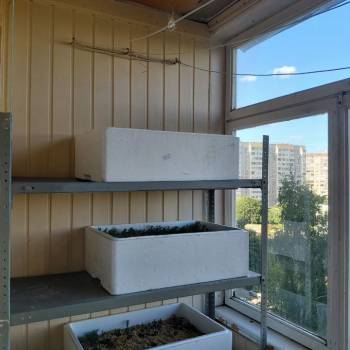 Продается 3-х комнатная квартира, 85,3 м²