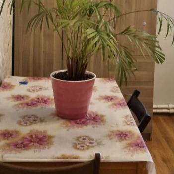 Сдается 1-комнатная квартира, 20 м²