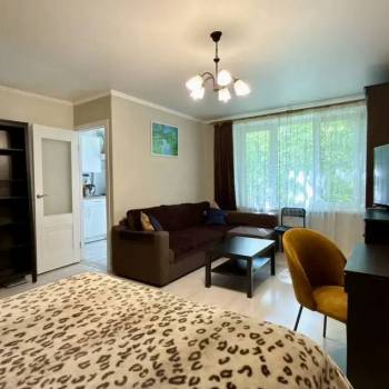 Продается 1-комнатная квартира, 30,9 м²
