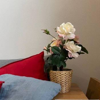 Сдается 2-х комнатная квартира, 37 м²