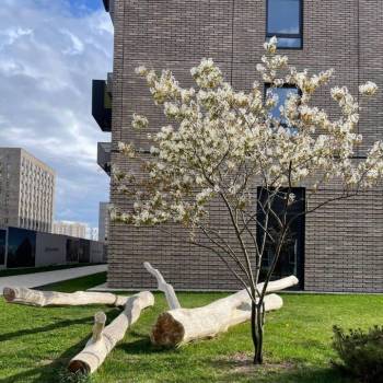 Сдается 2-х комнатная квартира, 37 м²
