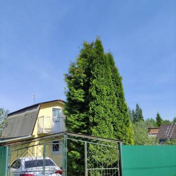 Продается Участок, 500 м²