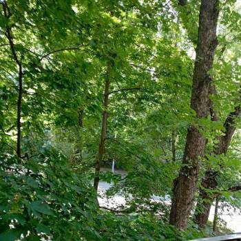Сдается Многокомнатная квартира, 62 м²