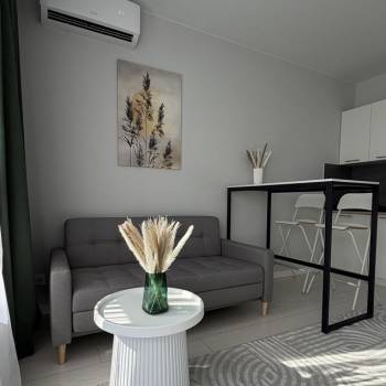 Сдается 1-комнатная квартира, 25,5 м²