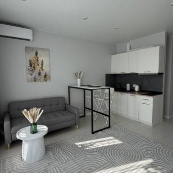 Сдается 1-комнатная квартира, 25,5 м²