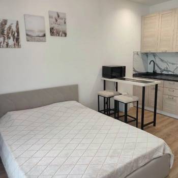 Сдается 1-комнатная квартира, 21,2 м²