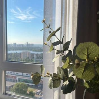 Сдается 1-комнатная квартира, 26,8 м²