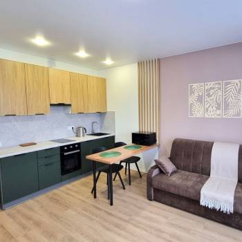 Сдается 1-комнатная квартира, 25,2 м²