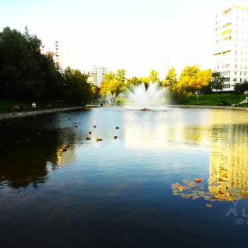 Сдается 2-х комнатная квартира, 36 м²