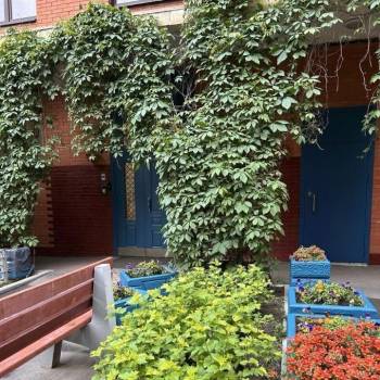 Сдается Многокомнатная квартира, 80 м²