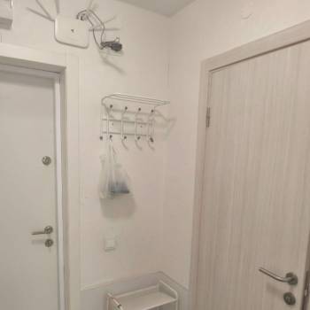 Сдается 1-комнатная квартира, 24,9 м²