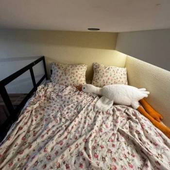 Сдается 1-комнатная квартира, 14 м²