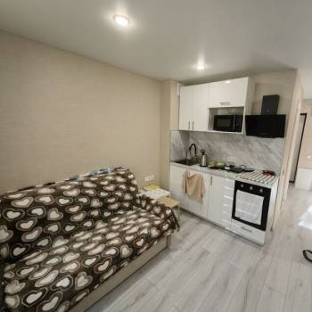 Продается 1-комнатная квартира, 17,4 м²