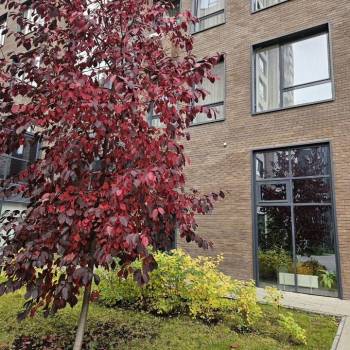 Продается 3-х комнатная квартира, 107 м²