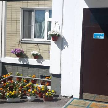 Продается 1-комнатная квартира, 36,8 м²