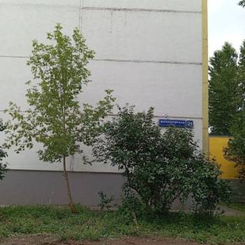 Сдается 1-комнатная квартира, 39,7 м²