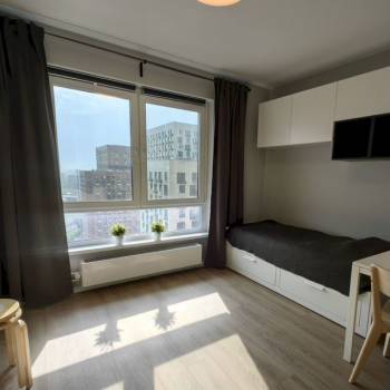 Сдается 1-комнатная квартира, 23,5 м²