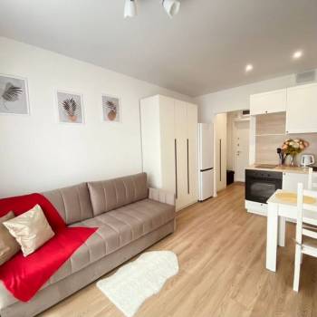 Сдается 1-комнатная квартира, 19,8 м²