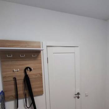 Сдается 1-комнатная квартира, 25,4 м²
