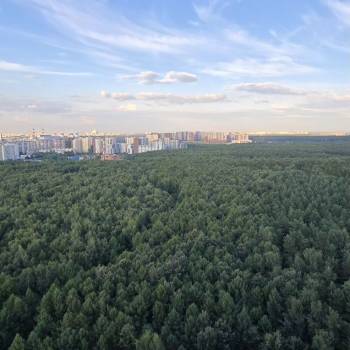Продается 1-комнатная квартира, 46,4 м²