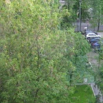 Продается 2-х комнатная квартира, 37,5 м²