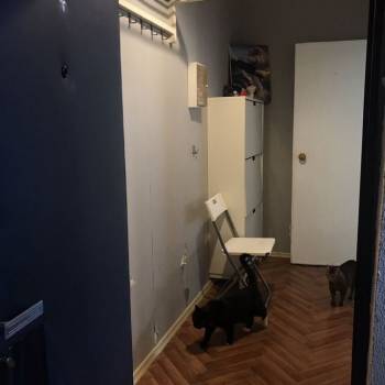 Продается 1-комнатная квартира, 31,8 м²