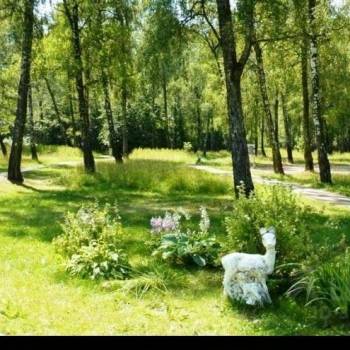 Сдается Дом, 268 м²