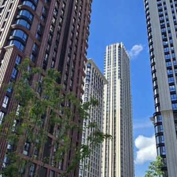 Сдается 1-комнатная квартира, 23,6 м²