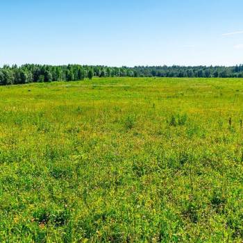 Продается Участок, 600 м²