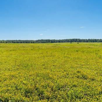 Продается Участок, 600 м²