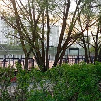 Продается Участок, 600 м²