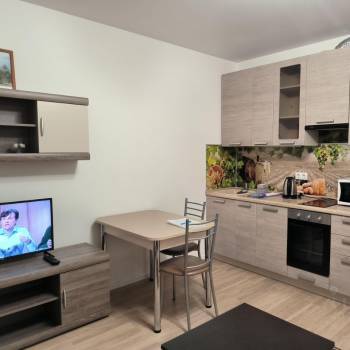 Сдается 1-комнатная квартира, 25,1 м²