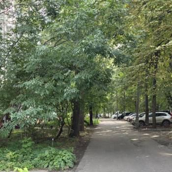 Сдается Комната, 45 м²