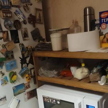 Сдается Комната, 49,2 м²