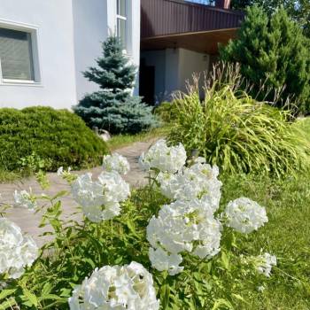 Сдается Комната, 25 м²